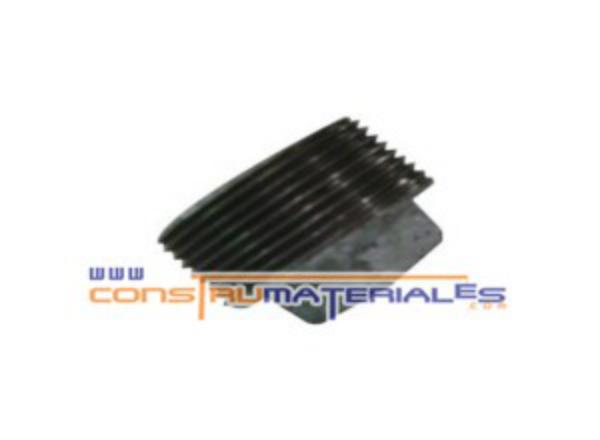 Tapon Galvanizado 2"