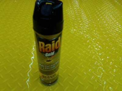 Raid Gold Aerosol 360Ml