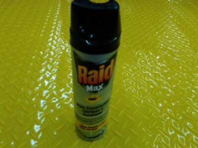 Raid Max Aerosol 360Ml