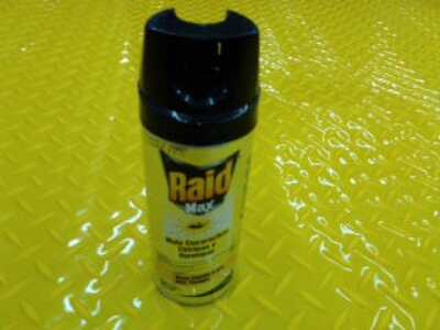 Raid Max 235Ml