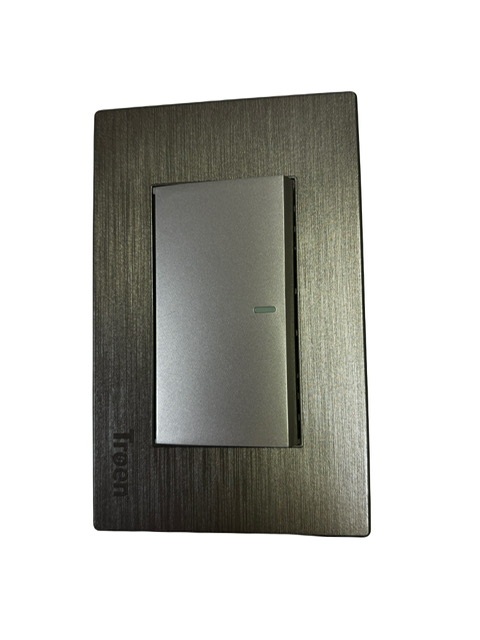 Interruptor Individual Plateado Troen