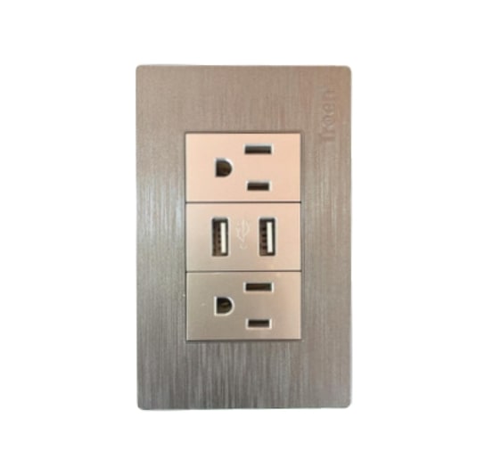 Toma Corriente Doble + 2 Entrada Usb Plateado Troen 15A 125V