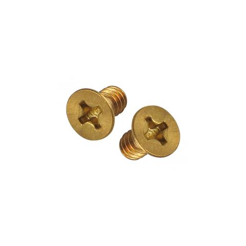 Tornillo para Rejillas y Rejillones X Und