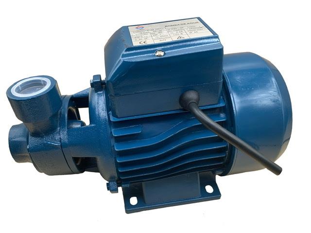 Bomba de Agua 1/2 Hp 110V Bq60 Gdeseo