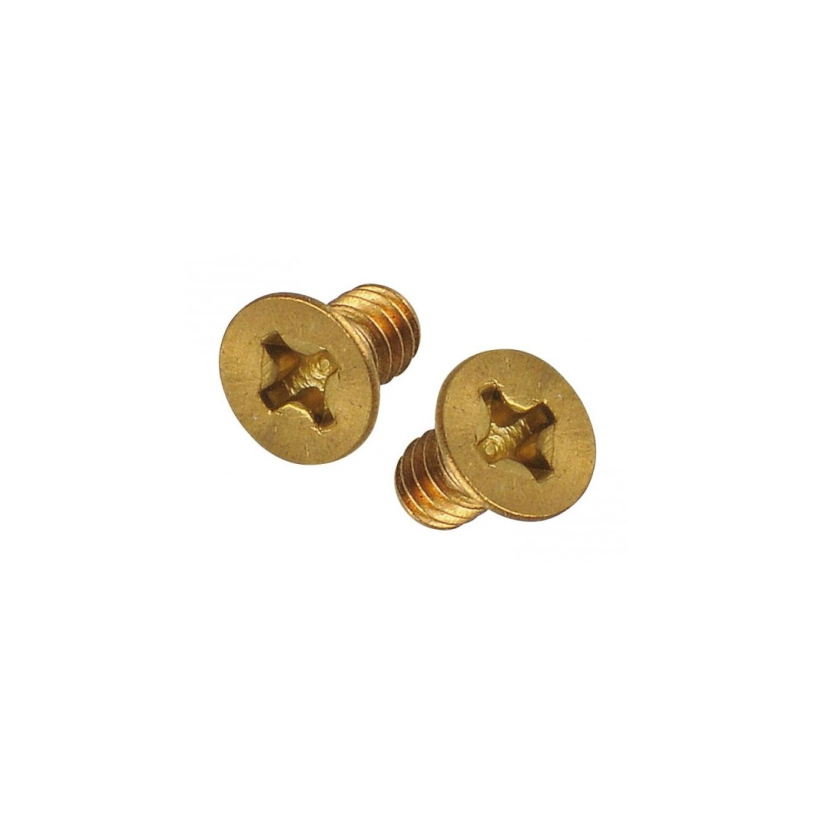 Tornillo para Rejillas y Rejillones X Und