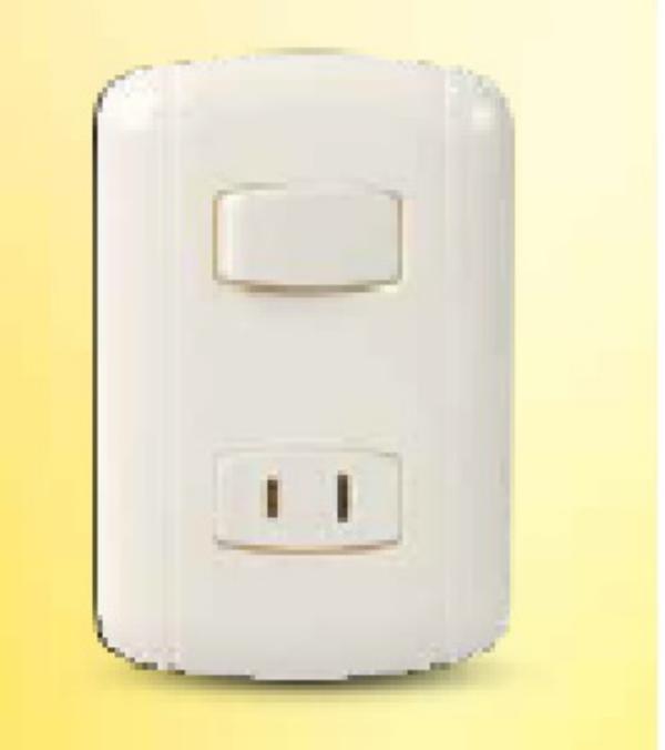 Interruptor + Toma P/Empotrar Lumistar