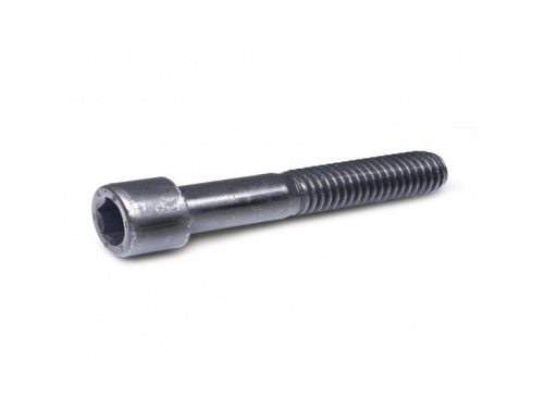 Tornillo Allen A.Inox 1/4 X 1