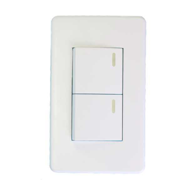 Interruptor Doble Panel 110/220V 10Amp